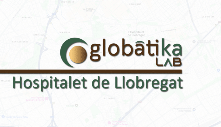 Perito Informatico Hospitalet de Llobregat
