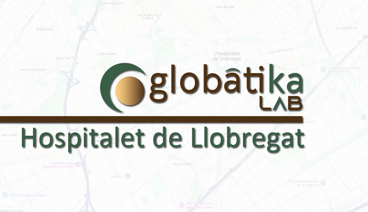 Perito Informatico Hospitalet de Llobregat